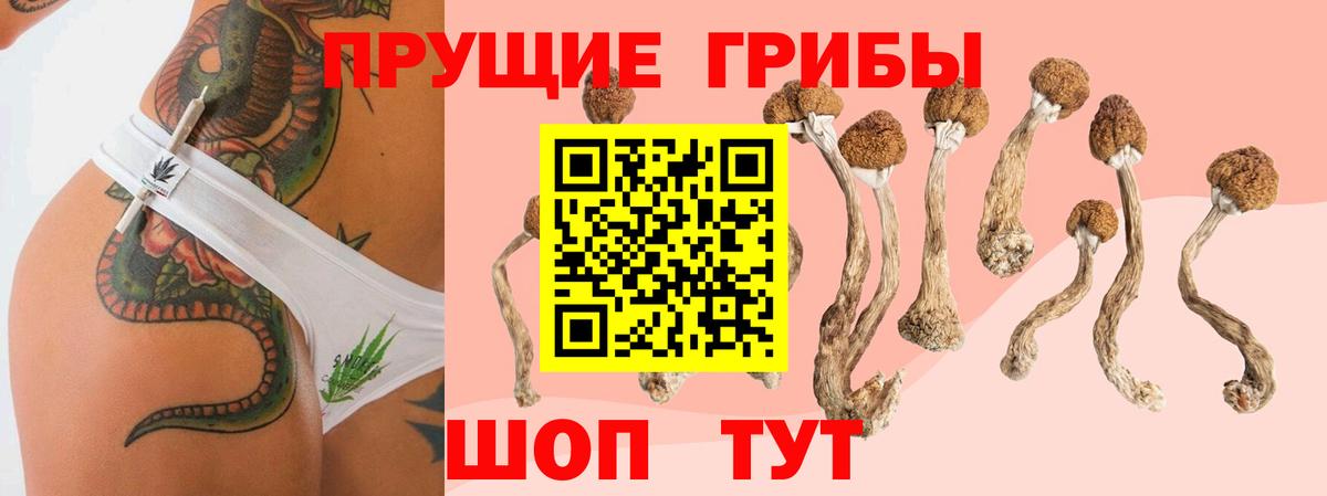 Туймазы  Галлюциногенные грибы Magic Shrooms  Псилоцибиновые грибы MAGIC MUSHROOMS  закладка  Вход с VPN 